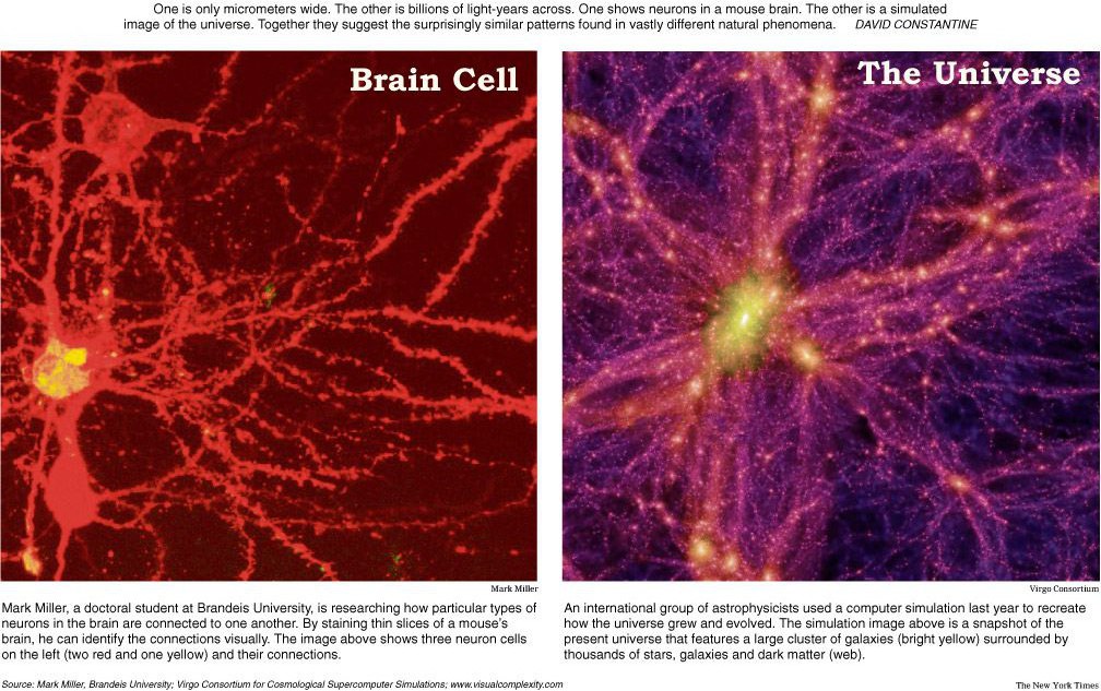 Comparación entre una célula cerebral(neurona) y el universo